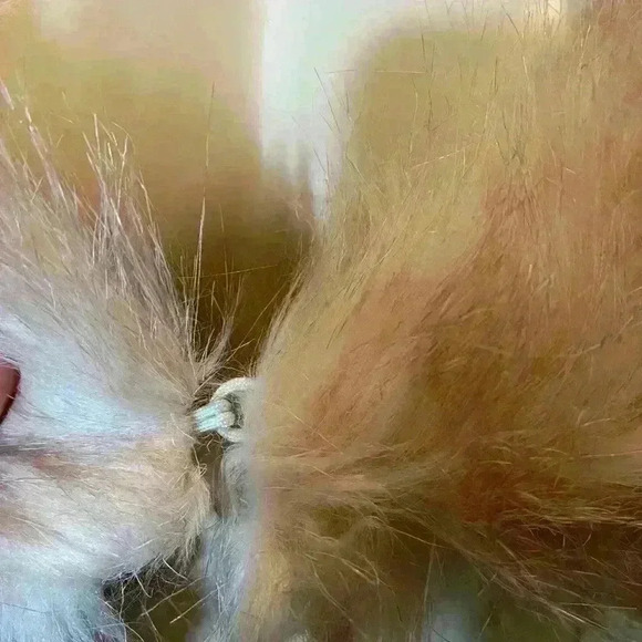 NWT FOXIEDOX COVERS SIZE M/L - Picture 4 of 7